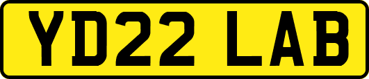 YD22LAB