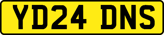 YD24DNS
