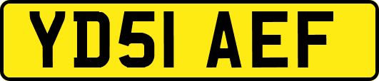 YD51AEF