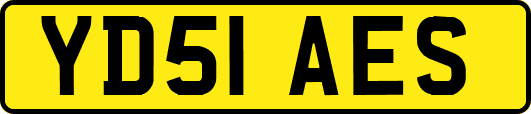 YD51AES