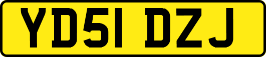 YD51DZJ