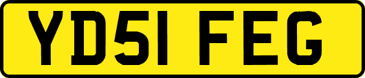 YD51FEG