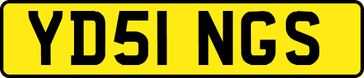 YD51NGS
