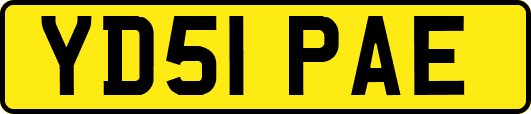 YD51PAE