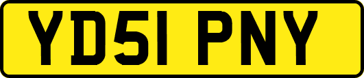 YD51PNY