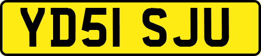 YD51SJU