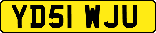 YD51WJU
