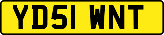 YD51WNT