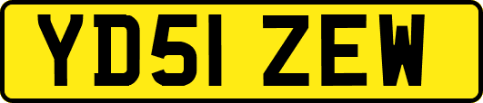 YD51ZEW