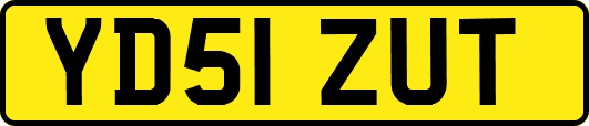 YD51ZUT