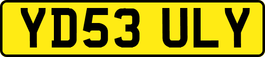 YD53ULY