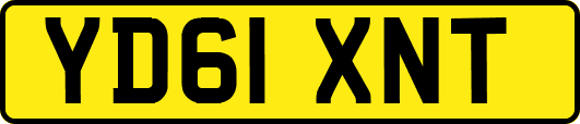 YD61XNT