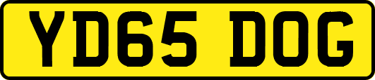YD65DOG