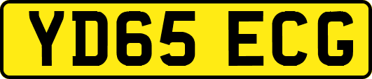 YD65ECG