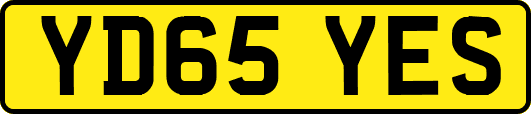 YD65YES