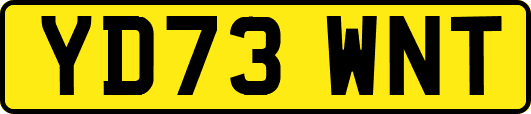 YD73WNT