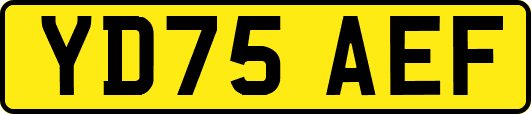YD75AEF