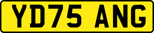 YD75ANG