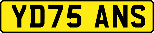 YD75ANS