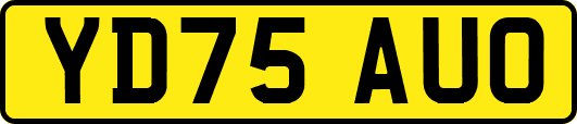 YD75AUO