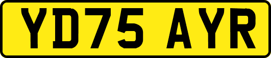YD75AYR