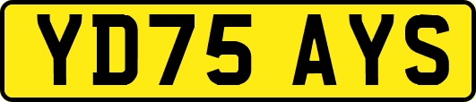 YD75AYS