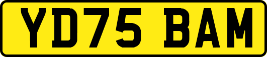 YD75BAM