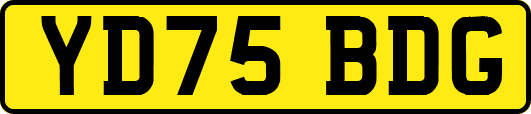 YD75BDG