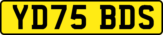 YD75BDS