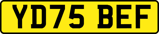 YD75BEF