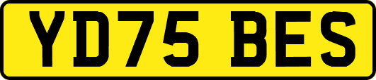 YD75BES