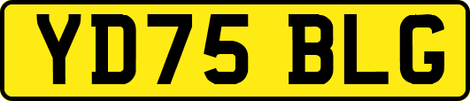 YD75BLG