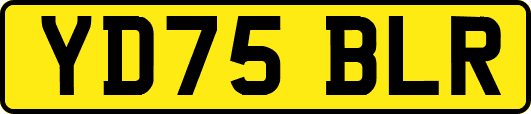 YD75BLR