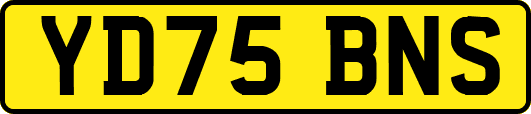 YD75BNS