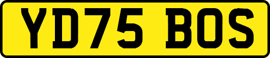 YD75BOS