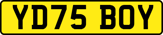 YD75BOY
