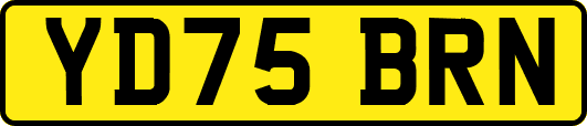 YD75BRN