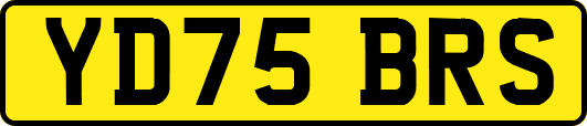 YD75BRS