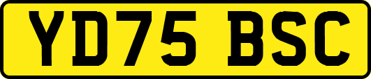 YD75BSC