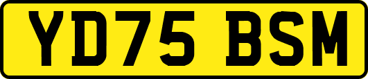 YD75BSM