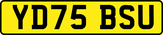 YD75BSU