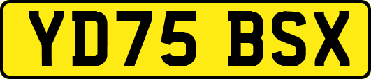 YD75BSX