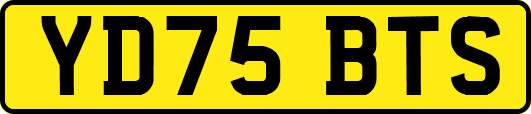 YD75BTS