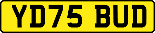YD75BUD
