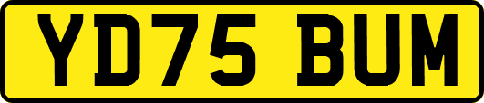 YD75BUM