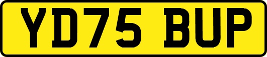 YD75BUP