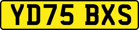 YD75BXS