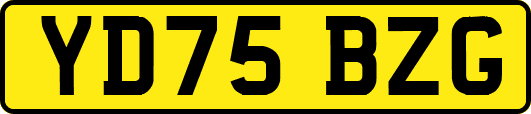 YD75BZG