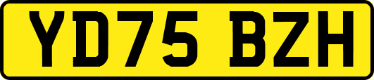 YD75BZH