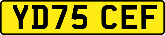 YD75CEF